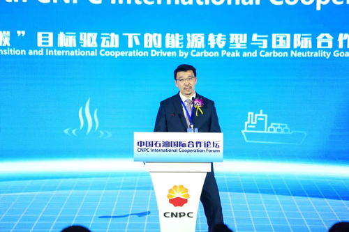 我國最大跨國公司2021年的 主場外交 真正國際化的論壇就應該醬紫